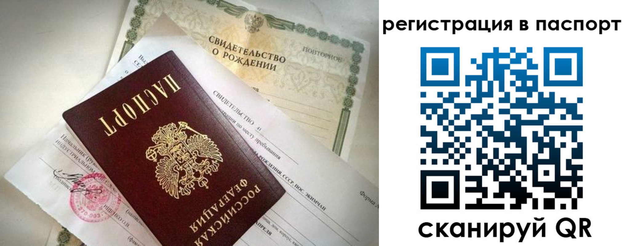 прописка гарантия в Клинцах